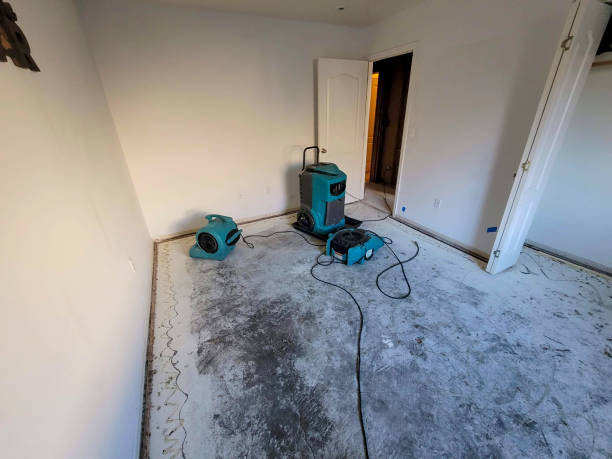 Best Flooded house restoration  in Gallup, NM