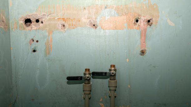 Best Water damage repair service  in Gallup, NM