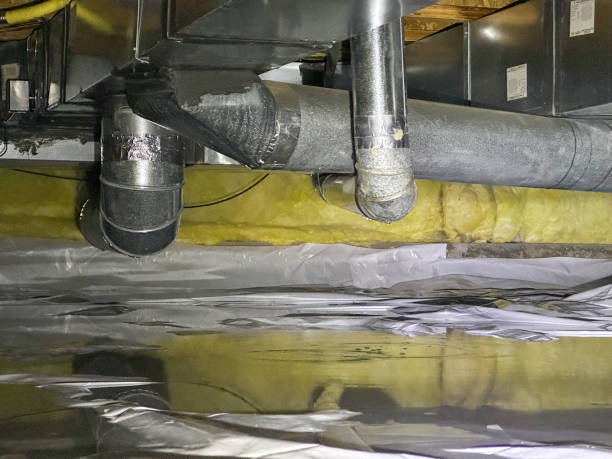 Best 24/7 water damage repair  in Gallup, NM