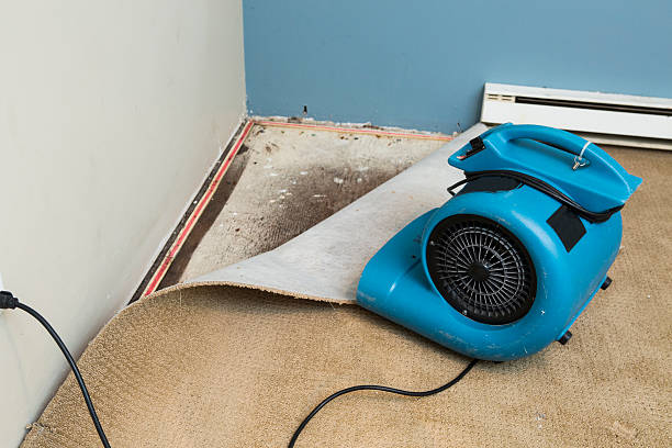  Gallup, NM Water damage restoration Pros